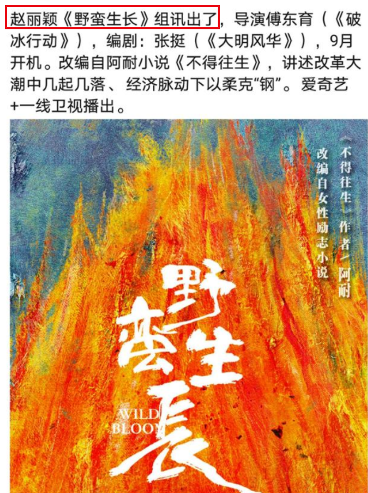 赵丽颖|赵丽颖离婚后拍的首部新剧，看清男主角是谁：收视率稳了！