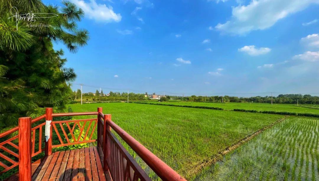 行星秘闻|杭州有两个“别具匠心”的公交车站，自带观景平台，风景如斯