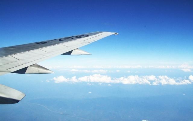 科学家研究蜻蜓多年，仍未完全搞清楚蜻蜓的奥秘，飞行界的王者