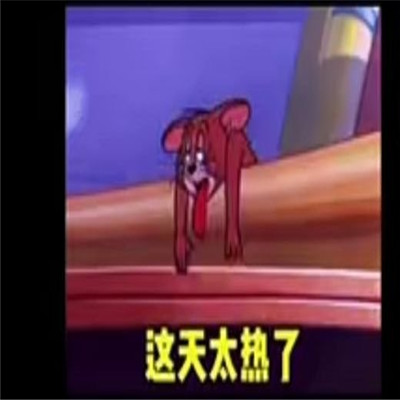 桉月|表情包：可爱的带字表情合集