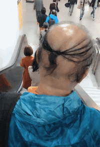 舜网 看一次笑一次,一只天鹅和一群火烈鸟在一起,结果天鹅学会了“伪装”