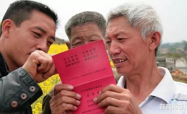 筱筱雨菲|曾红极一时的“包山头”养殖，现在却销声匿迹，怎么回事？