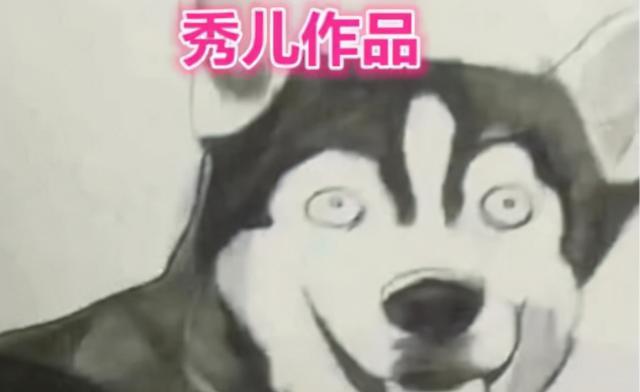 贾玲|美术生的“贾玲素描像”火了，网友劝学生换专业，但愿本尊没看到