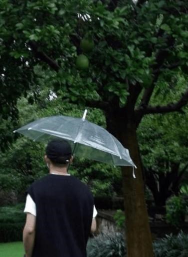 至亲沉冤,血性男儿理应出手讨公道,发个不痒不痛的动态算什么?
