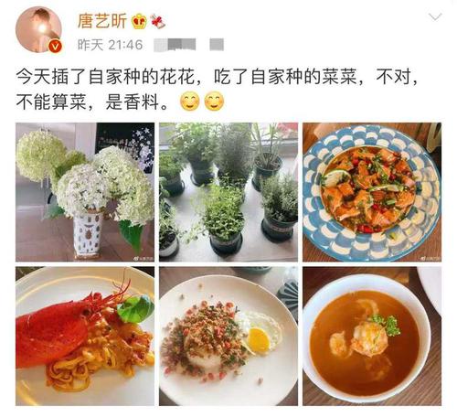 张若昀|张若昀唐艺昕喜迎结婚两周年纪念日，老公下厨做饭， 老婆插花晒照