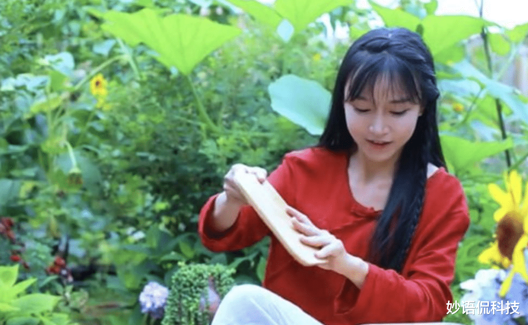 李子柒|坐拥1亿粉丝的李子柒，视频停更两个月多，背后原因已经浮现