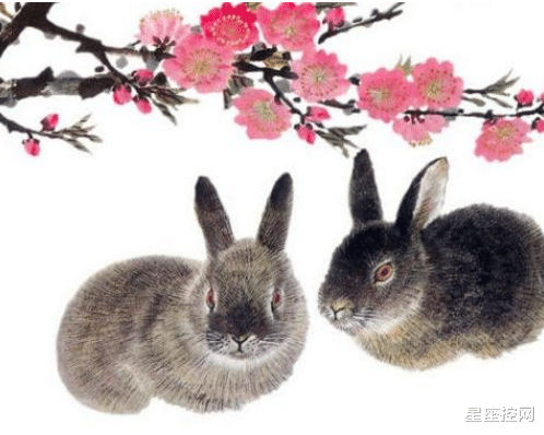 星座控网|四个生肖有志向，穷苦日子熬到底，人生困境也能脱离，日子越过越有