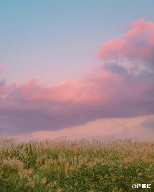 |「社交智慧」5条为人处世思维，职场人必备，升职加薪指日可待