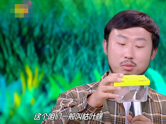 天天向上|《天天向上》迎来改版！五大新板块超惊喜，这是要成业内新标杆？