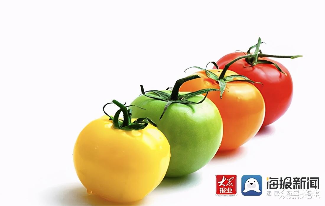 众点关注 “2021最受消费者喜爱的十大鲜食番茄”评选大赛开始报名啦