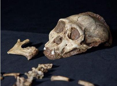 化石 1921年：北京西城发现8具3米高的史前人类骨骼