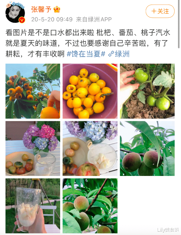 张馨予|张馨予家院子火了，鲜花蔬果样样都有，网友：过上了如诗般的生活