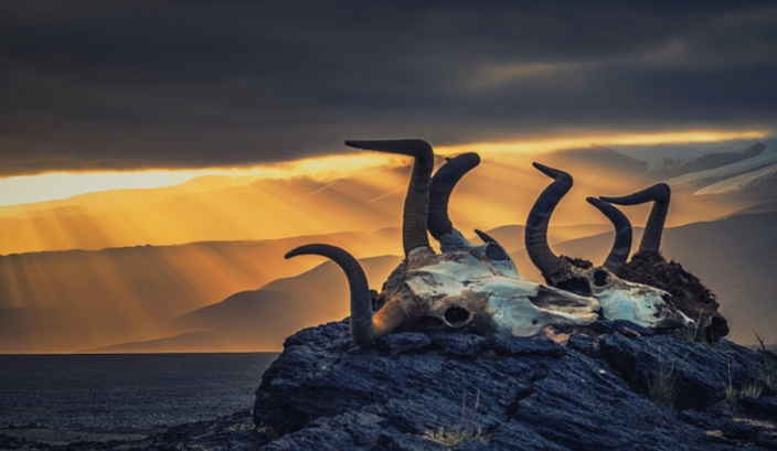 MR神秘先生|神秘的昆仑山,是仙家之境还是死亡之谷?我们为何对它独有情钟?