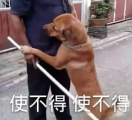 长津湖|她是如何做到让她的男人们都死心塌地的？