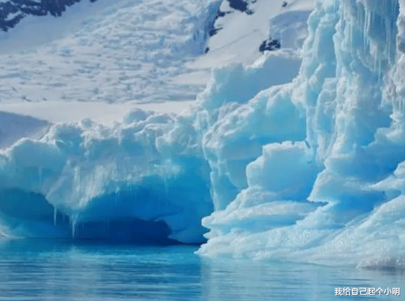 南极 “不该出现”在地球上的东西，竟在南极现身！科学家：该警惕了