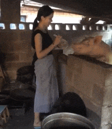 蚊子 神回复：“这种情况怎么才能把蚊子一网打尽？”