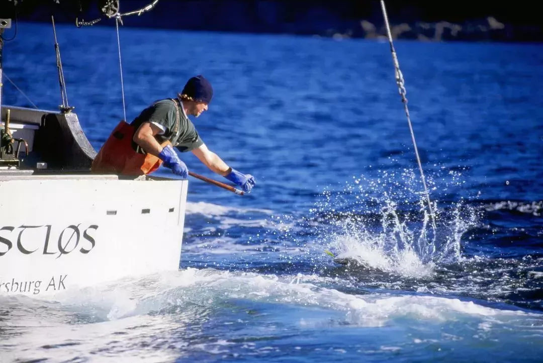 不起眼的藻类,却导致悲剧发生,一家三口倒在加利福尼亚的森林里