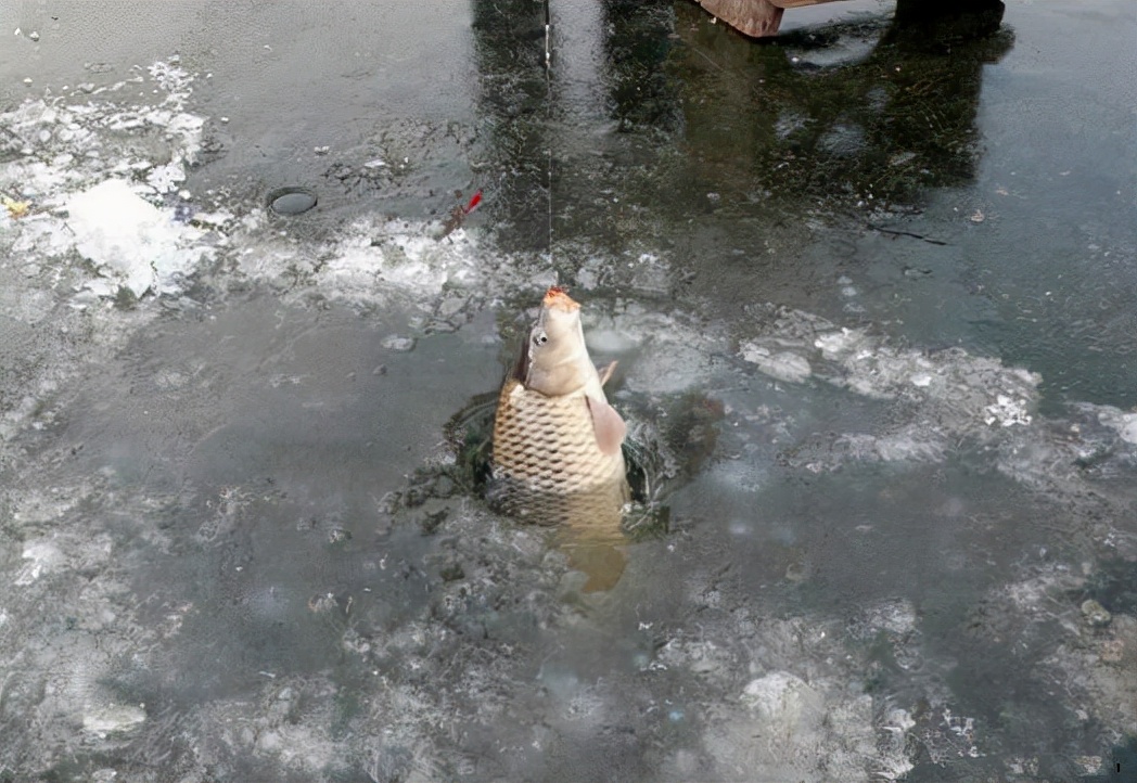 |冬钓想要钓得多、钓得大，你就必须会四个“小”