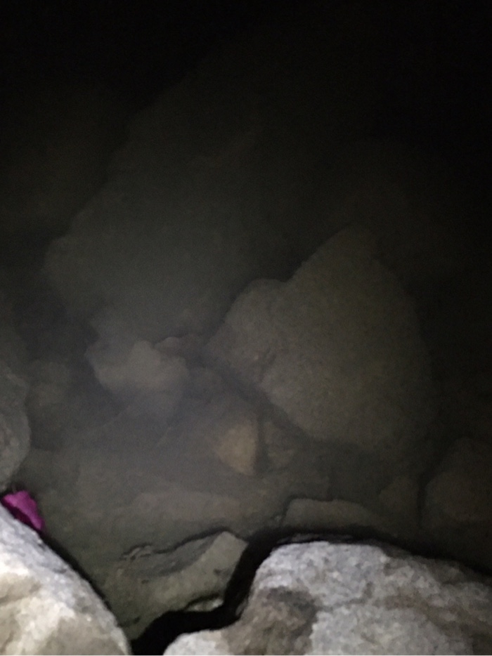 饵料|2021-35#天气晴好，夜钓参军