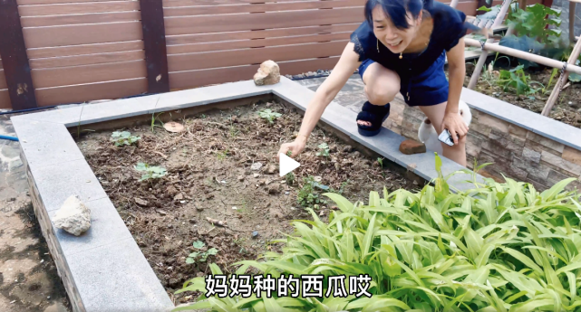 张馨予|张馨予与妈妈摘杨梅，养鱼逗狗生活惬意，被粉丝责怪事业心不强后发文回应