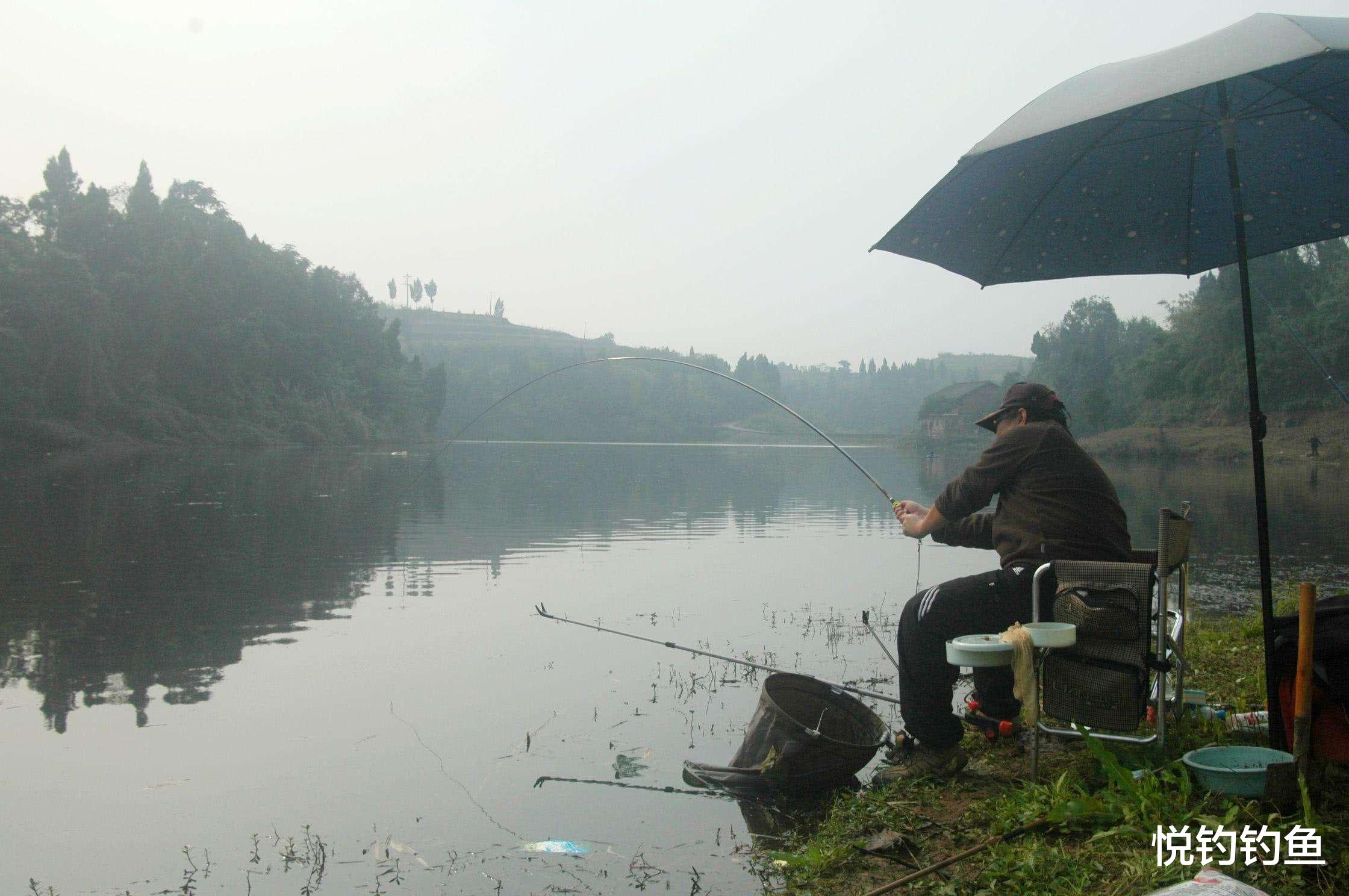 |你钓鱼时总是断线，到底是技术、装备有问题，还是鱼的问题？