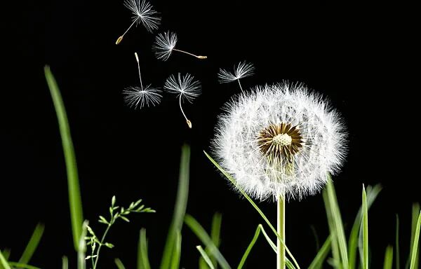 取陌生为名|很潮很酷的文字控短句，你说一句不要走，我丢下烈酒和自由