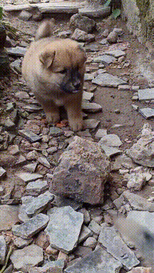 女友出差回来从她包里翻出这个,干嘛用的?网友暗示我被绿了