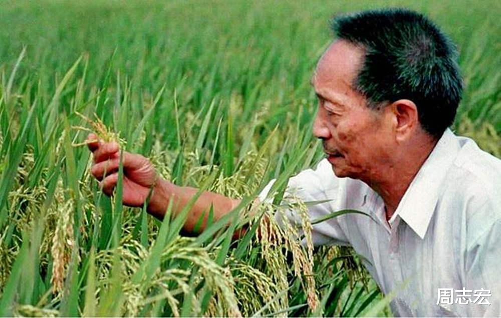 科学家 诺贝尔奖究竟有多难？120年621名获奖者，中国科学家仅1位