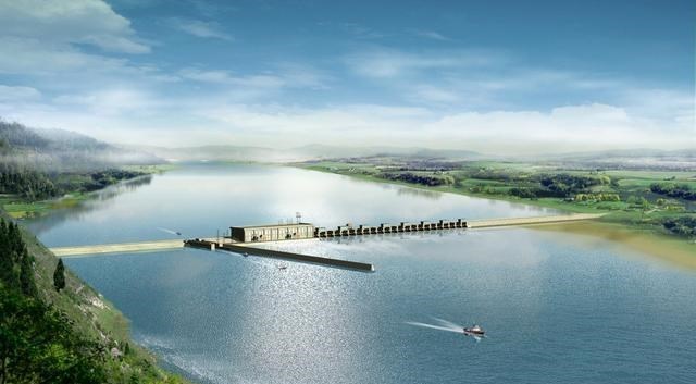 渔民 渔民捕到“天价鱼”卖出347万高价，一夜暴富，是什么鱼呢？