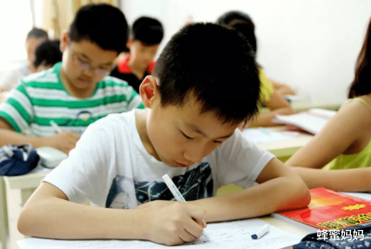 蜂蜜妈妈|“上补习班”和“不上补习班”有啥区别？看谢娜侄子就知道了