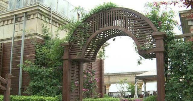 张庭|张庭奢靡生活起底:去她家会迷路,浴缸大如泳池,洗澡水放两小时