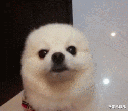 学姐说育儿|“早上在公园发现的,这里是不是发生了大战啊?”哈哈哈!