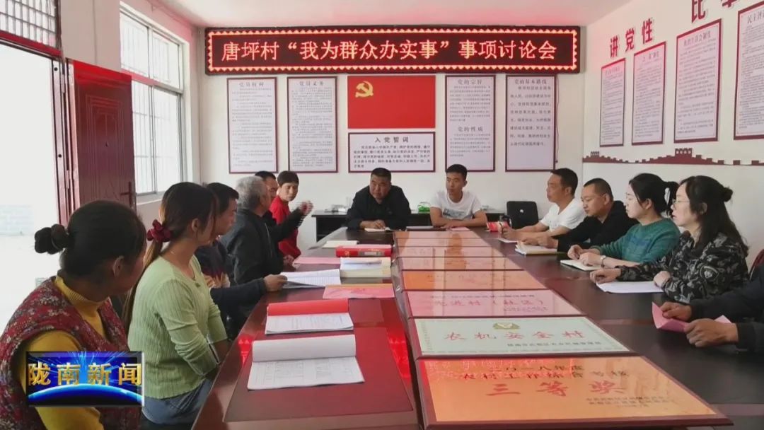 陇南广播电视台 武都：学史力行重实效，为民办事我先行