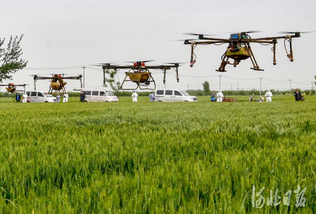 河北新闻网 河北：立夏时节农事忙