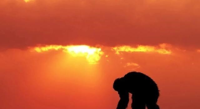  如果人类在地球上灭亡了，若干年以后会不会重新出现在地球上？