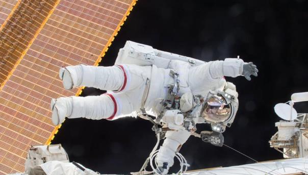 美俄有没有做过太空受孕实验?人类是否可以在宇宙中繁衍?