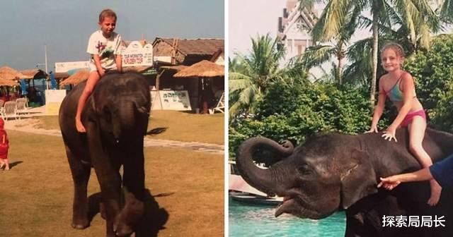 海豚 盘点动物拯救人类的7个事件，一群海豚围住一群人，结果很感人
