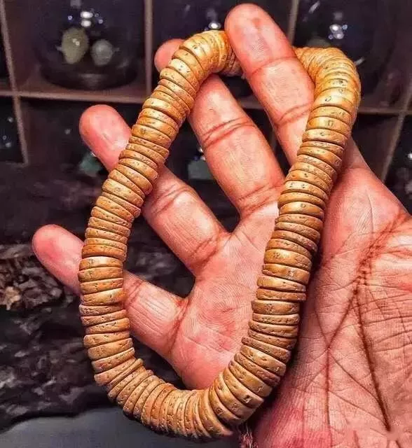 菩提|药片手串！文玩人为什么要和自己过不去？