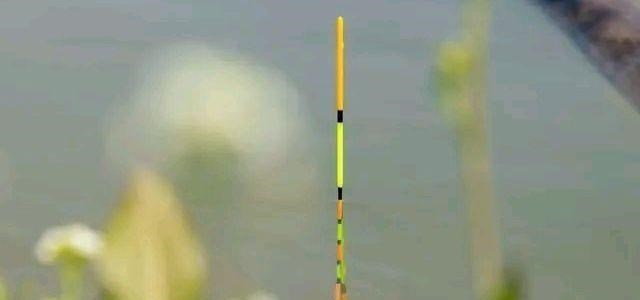 |夏季这4种天气，不适合钓底层鱼，不要再去浪费时间了！