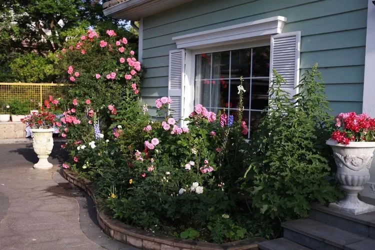 |买了别墅花园房，用5年时间，亲手设计打造400㎡别墅花园，太美了