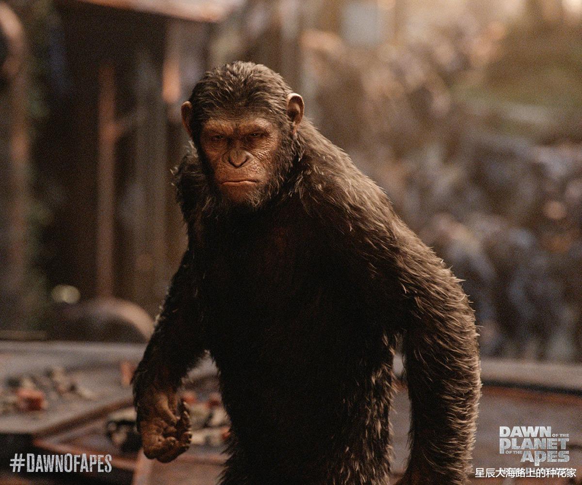 后代 2714年的未来人警告：9月将发生三件大事，美国将遭遇空前灾难？