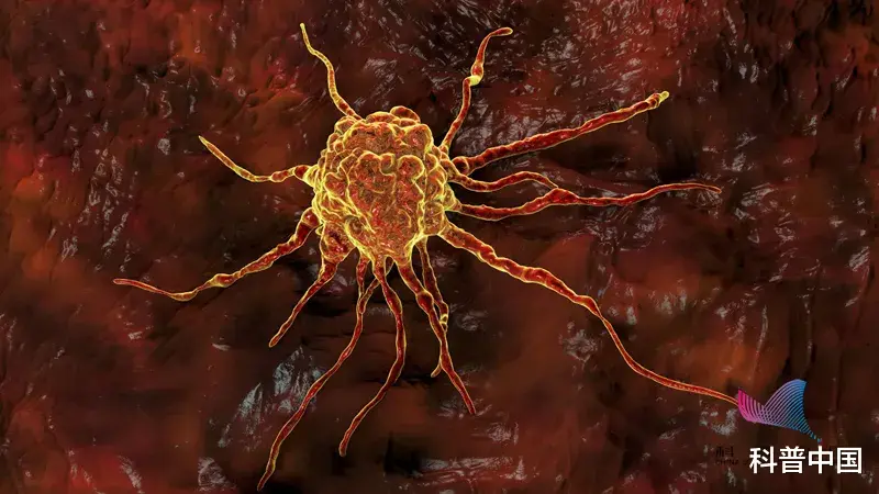 金银花|抗癌博主阿健去世上热搜,壮小伙仅一年变得骨瘦如柴!需警惕的是