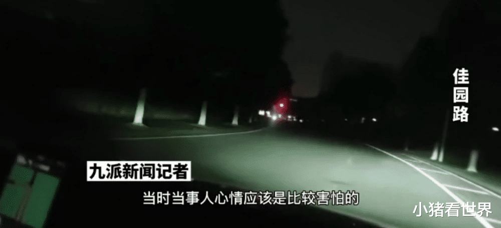 小猪看世界 货拉拉成了“祸拉拉”,巨额赔款平息“车莎莎”事件,背后真相成疑