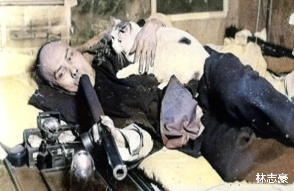 |历史过目难忘彩照，攻陷宁波的太平军，成群的御前带刀侍卫，撸着猫抽鸦片