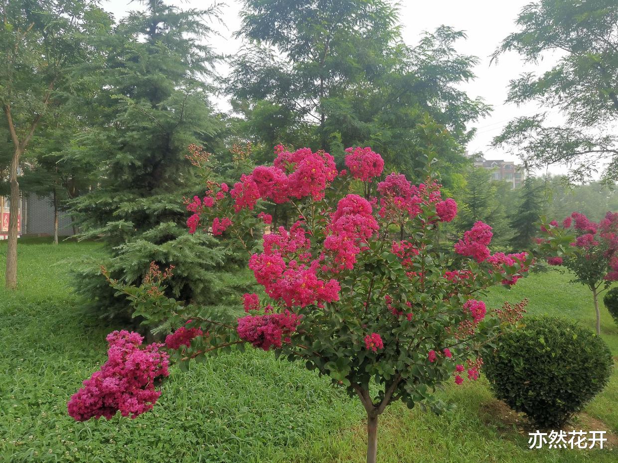 金字塔结构 利用金字塔原理，实现结构化写作