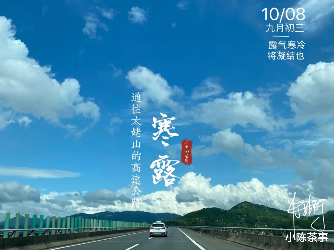 原创|冲泡白茶、红茶、岩茶时，是大壶泡好，还是盖碗泡好？看完这5点