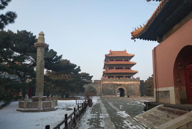 怡此情怡此景 沈阳有一颗树“很牛”，长在5A景区的核心地区，游客看了也佩服