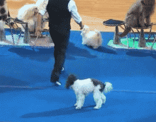 日本天皇|“日本天皇女儿照片流露出来，被网友笑坏了”