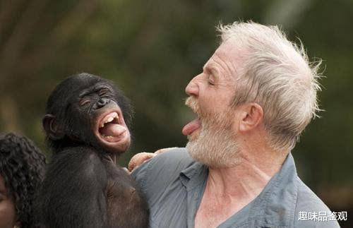 量子技术 穿越者又来了2：2714年穿越者声称，未来人类可去平行宇宙生活