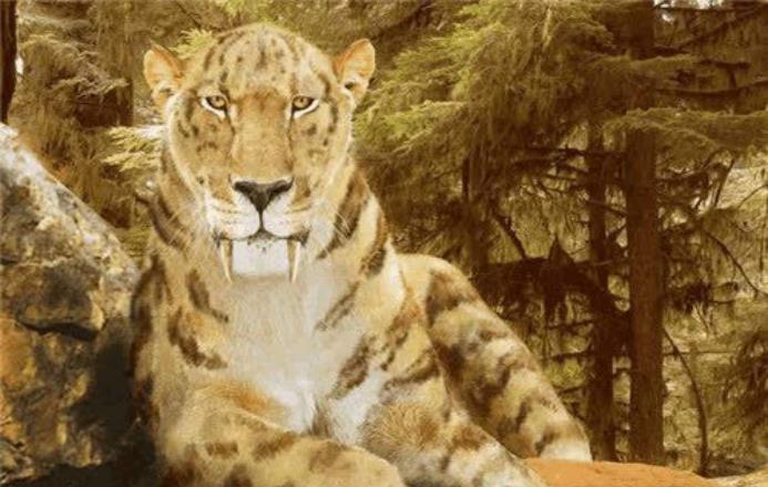 南方古猿 人类真处于食物链顶端？专家发现一种动物，曾差点将人类祖先吃光